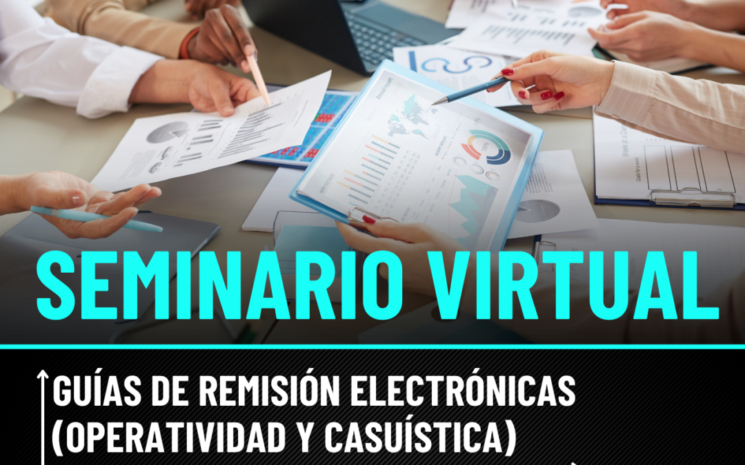 Seminario Virtual: Guías de Remisión Electrónicas (Operatividad y Casuística)