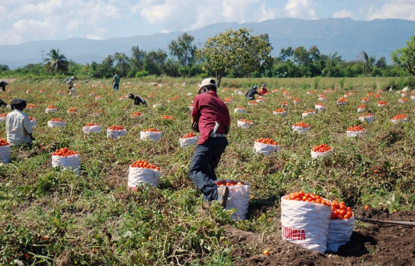 Prorrogan una vez más la exclusión del sistema de retenciones respecto de productos primarios derivados de la actividad agropecuaria.