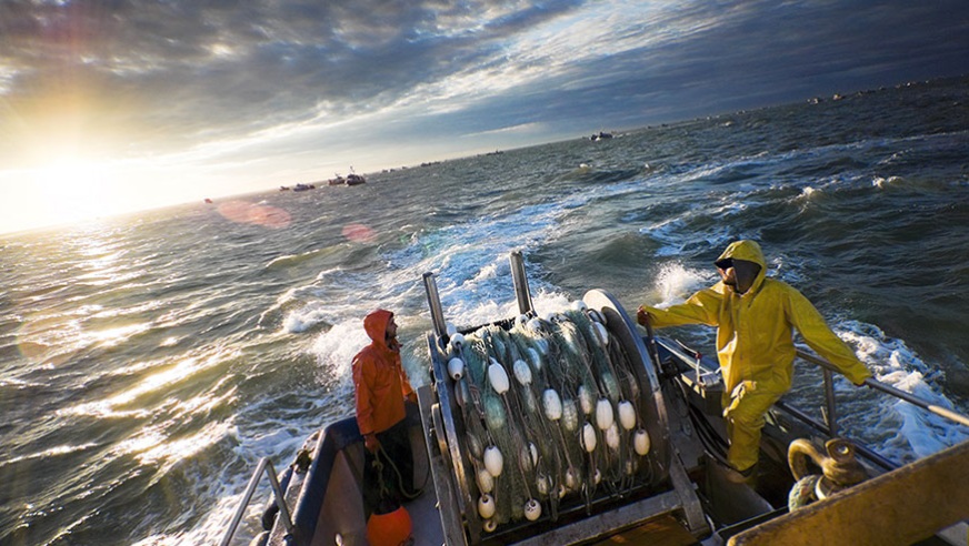 SUNAT aprueba reglas para declarar y pagar el aporte al fondo de jubilación pesquero. Infórmate.